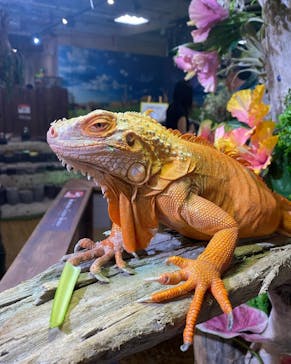 NARA IKIMONO MUSEUMに投稿された画像（2024/5/2）