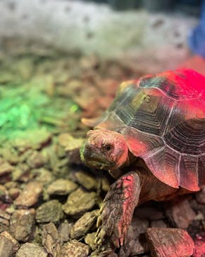 NARA IKIMONO MUSEUMに投稿された画像（2024/5/2）