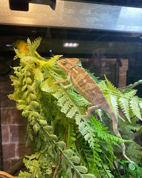 NARA IKIMONO MUSEUMに投稿された画像（2024/5/2）