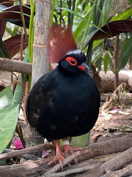 神戸どうぶつ王国に投稿された画像（2024/5/2）