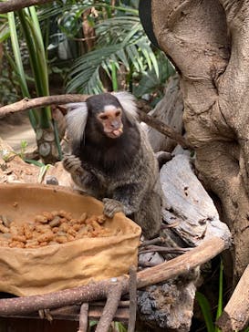 神戸どうぶつ王国に投稿された画像（2024/5/2）