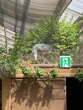 神戸どうぶつ王国に投稿された画像（2024/5/2）