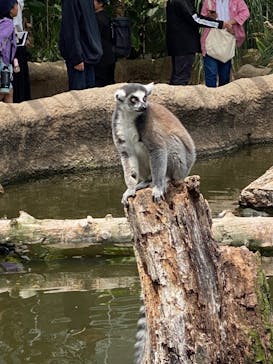 神戸どうぶつ王国に投稿された画像（2024/5/2）