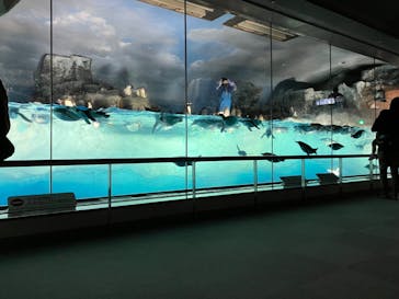 名古屋港水族館に投稿された画像（2024/5/2）