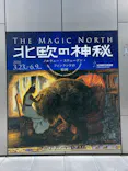 北欧の神秘（ＳＯＭＰＯ美術館）に投稿された画像（2024/5/2）