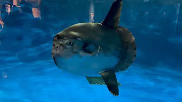 仙台うみの杜水族館に投稿された画像（2024/5/2）