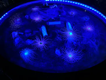 仙台うみの杜水族館に投稿された画像（2024/5/2）