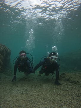 沖縄マリンサービス碧に投稿された画像（2024/5/2）