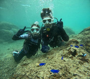 沖縄マリンサービス碧に投稿された画像（2024/5/2）