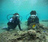 沖縄マリンサービス碧に投稿された画像（2024/5/2）