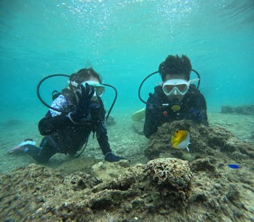 沖縄マリンサービス碧に投稿された画像（2024/5/2）