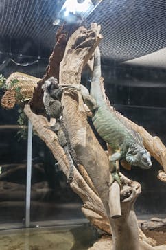 カワスイ 川崎⽔族館に投稿された画像（2024/5/2）