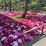 日本庭園　由志園に投稿された画像（2024/5/2）