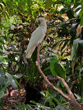 アロハガーデンたてやまに投稿された画像（2024/5/2）