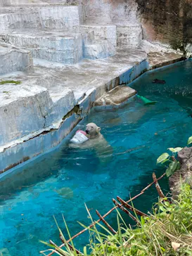 天王寺動物園に投稿された画像（2024/5/2）