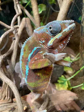 天王寺動物園に投稿された画像（2024/5/2）