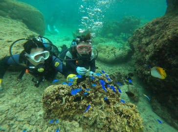 武藤潜水に投稿された画像（2024/5/2）