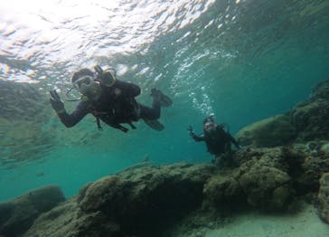 武藤潜水に投稿された画像（2024/5/2）