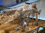 福井県立恐竜博物館に投稿された画像（2024/5/2）