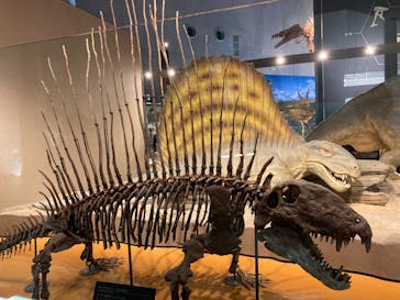 福井県立恐竜博物館に投稿された画像（2024/5/2）