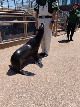 アクアワールド茨城県大洗水族館に投稿された画像（2024/5/2）