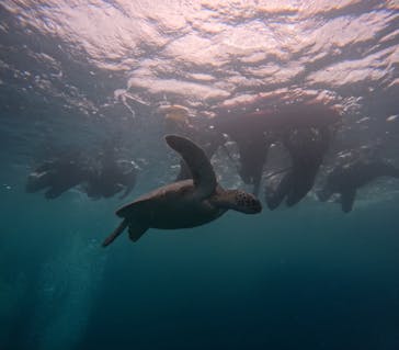  マリンショップHAPPYに投稿された画像（2024/5/2）