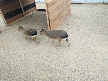 滋賀農業公園ブルーメの丘に投稿された画像（2024/5/2）