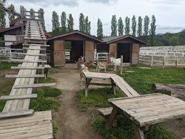 滋賀農業公園ブルーメの丘に投稿された画像（2024/5/2）