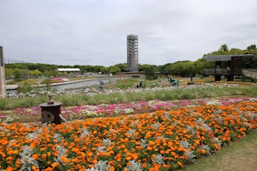 浜名湖花博2024に投稿された画像（2024/5/2）