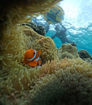 宮古島マリンショップSmileyに投稿された画像（2024/5/2）