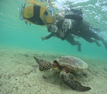 宮古島マリンショップSmileyに投稿された画像（2024/5/2）