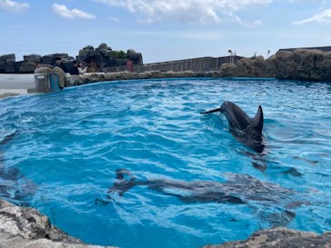 鴨川シーワールドに投稿された画像（2024/5/2）