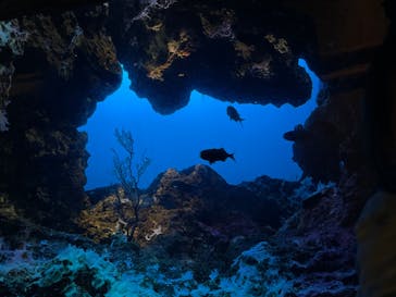 鴨川シーワールドに投稿された画像（2024/5/2）