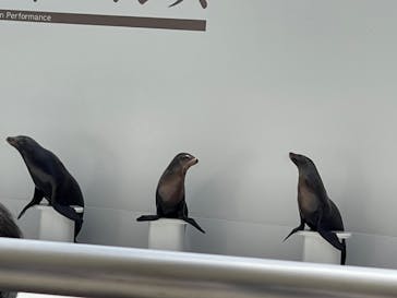 鴨川シーワールドに投稿された画像（2024/5/2）