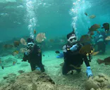 武藤潜水に投稿された画像（2024/5/2）