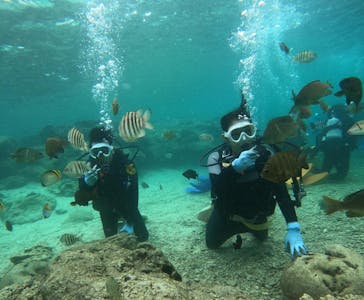 武藤潜水に投稿された画像（2024/5/2）