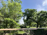 天王寺動物園に投稿された画像（2024/5/2）