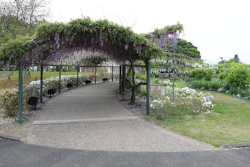 浜名湖花博2024に投稿された画像（2024/5/2）