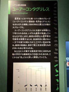 特別展「大哺乳類展３－わけてつなげて大行進」に投稿された画像（2024/5/2）