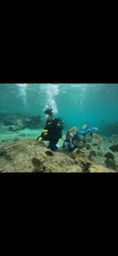 武藤潜水に投稿された画像（2024/5/2）