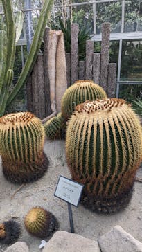 アロハガーデンたてやまに投稿された画像（2024/5/2）