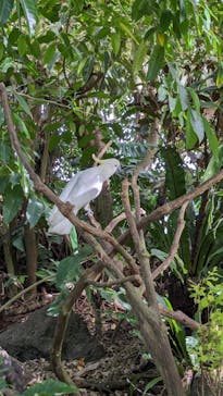 アロハガーデンたてやまに投稿された画像（2024/5/2）