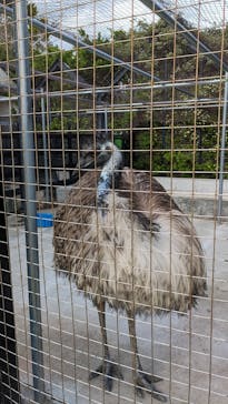 アロハガーデンたてやまに投稿された画像（2024/5/2）