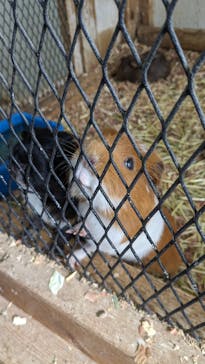 アロハガーデンたてやまに投稿された画像（2024/5/2）