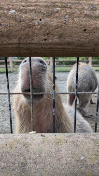 アロハガーデンたてやまに投稿された画像（2024/5/2）