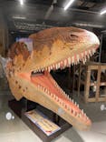 福井県立恐竜博物館に投稿された画像（2024/5/2）