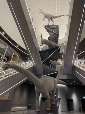 福井県立恐竜博物館に投稿された画像（2024/5/2）