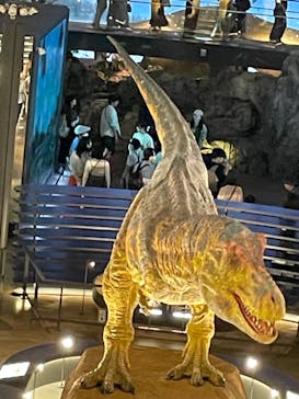 福井県立恐竜博物館に投稿された画像（2024/5/2）