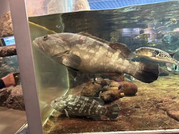 鴨川シーワールドに投稿された画像（2024/5/2）