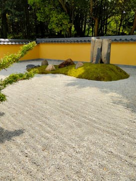 浜名湖花博2024に投稿された画像（2024/5/2）